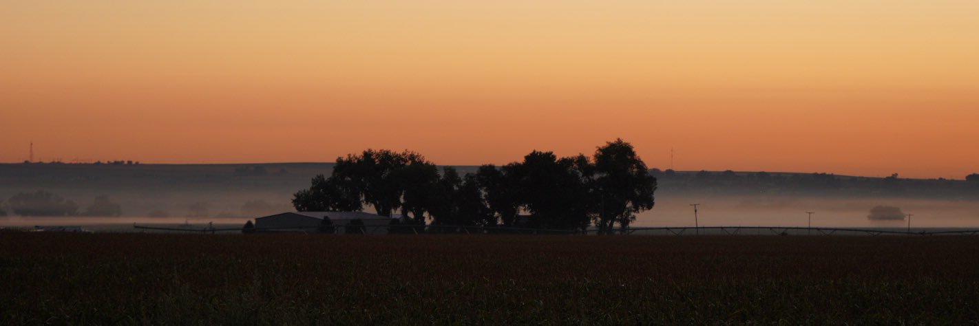 WhitfieldJ's profile banner image