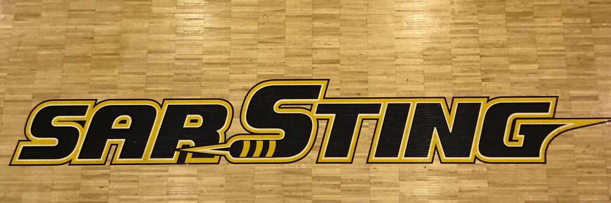 SAR Sting Report banner