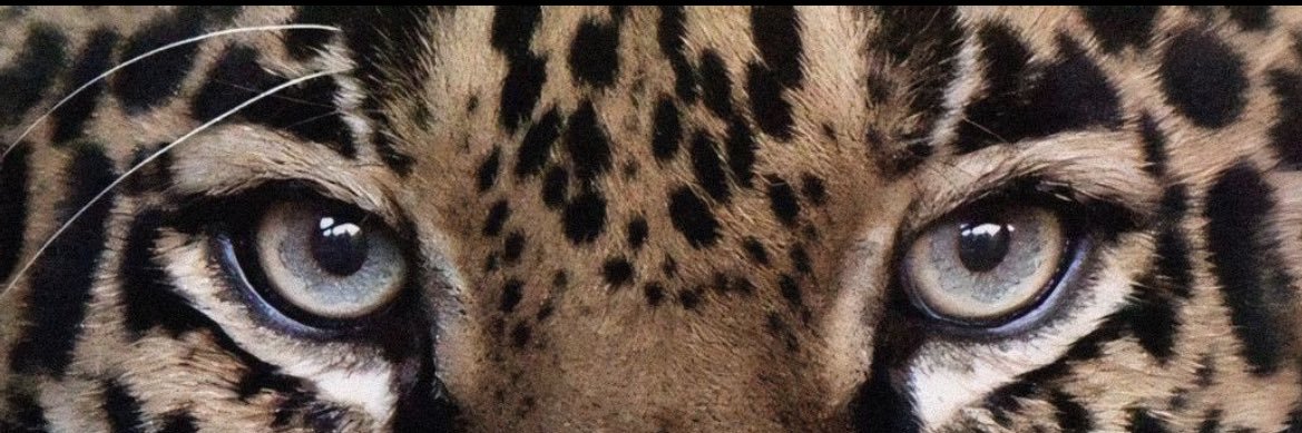 LisboaIsamara's profile banner image