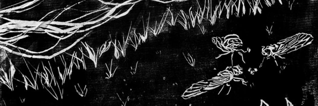 hayliefitz's profile banner image