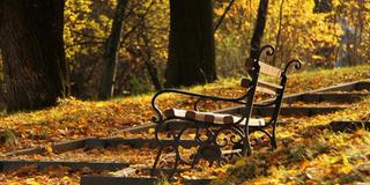 busra_gulcan's profile banner image