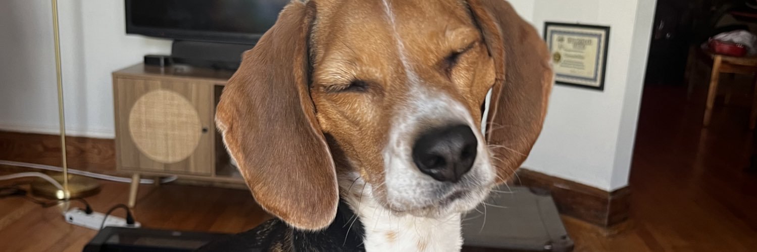 peppperjelly's profile banner image