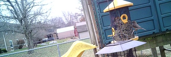 campbellj4 Profile Banner