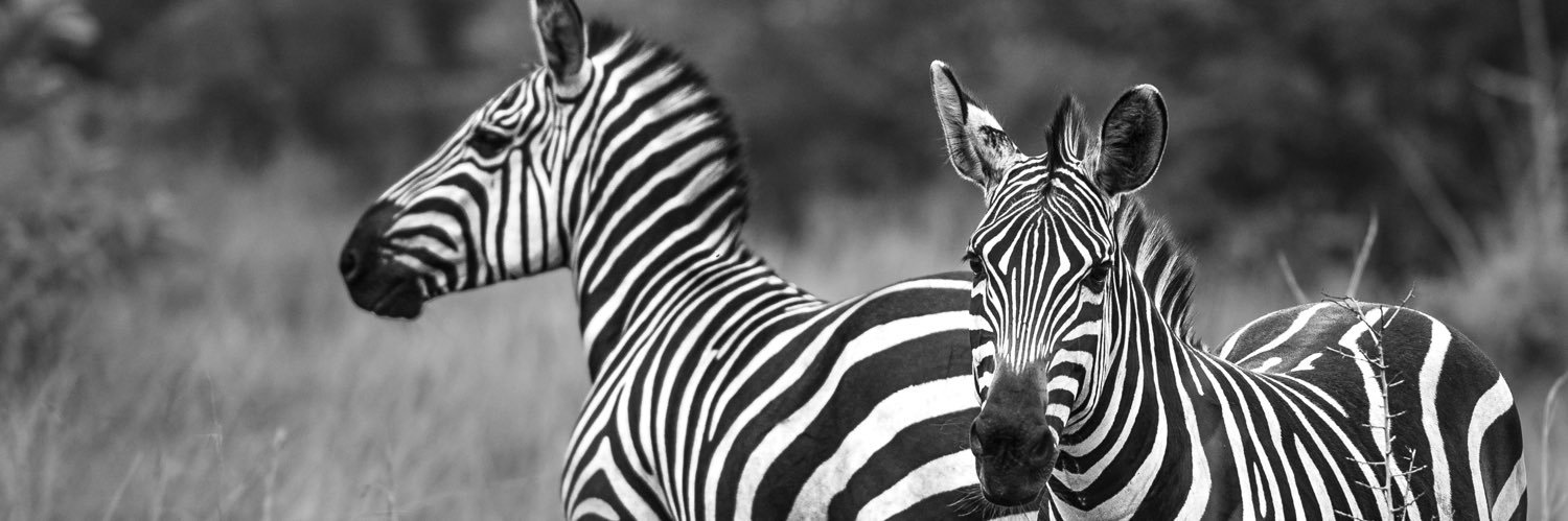 dave_kwizera's profile banner image