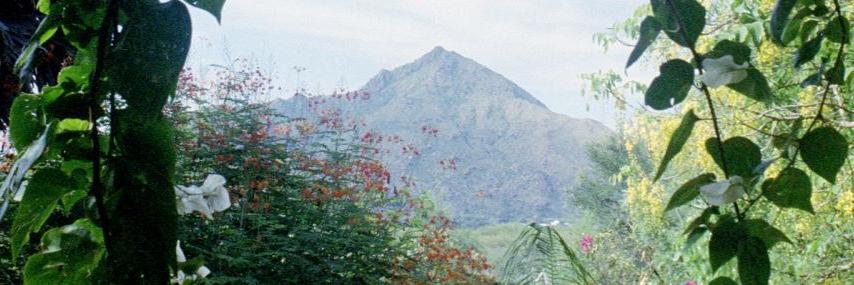 D.Muthukrishnan's banner