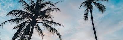 taquesart's profile banner image