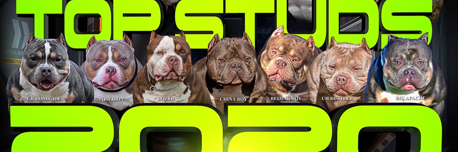 BullyKingMag's profile banner image