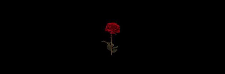 _belu9's profile banner image