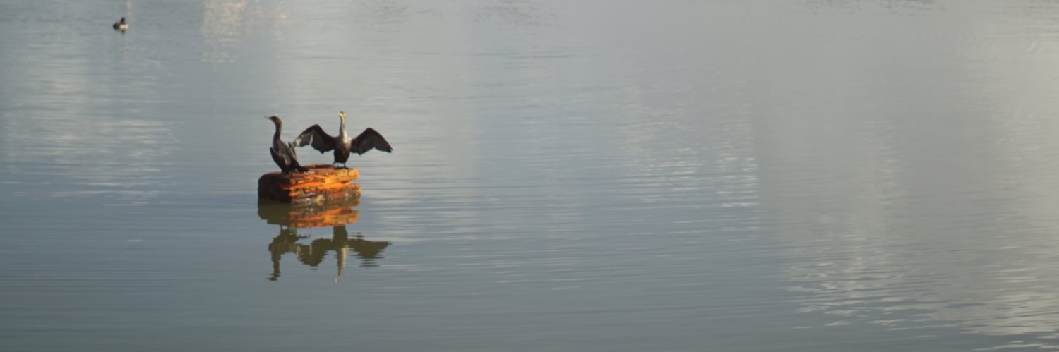 twoherring's profile banner image