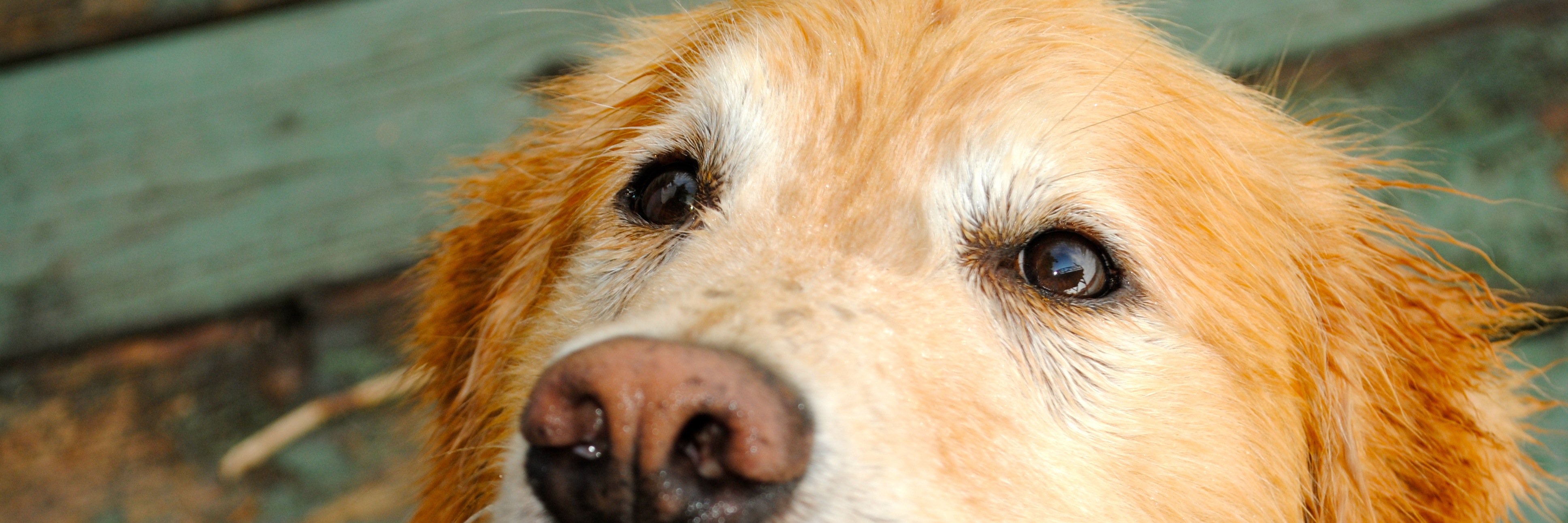 pattytkmetz's profile banner image