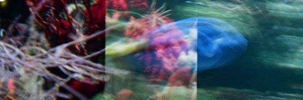 Yuni_versal's profile banner image