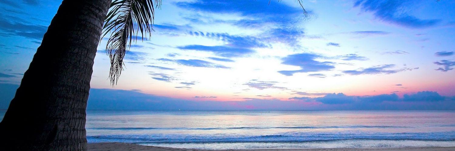 Jared Jeffcott banner