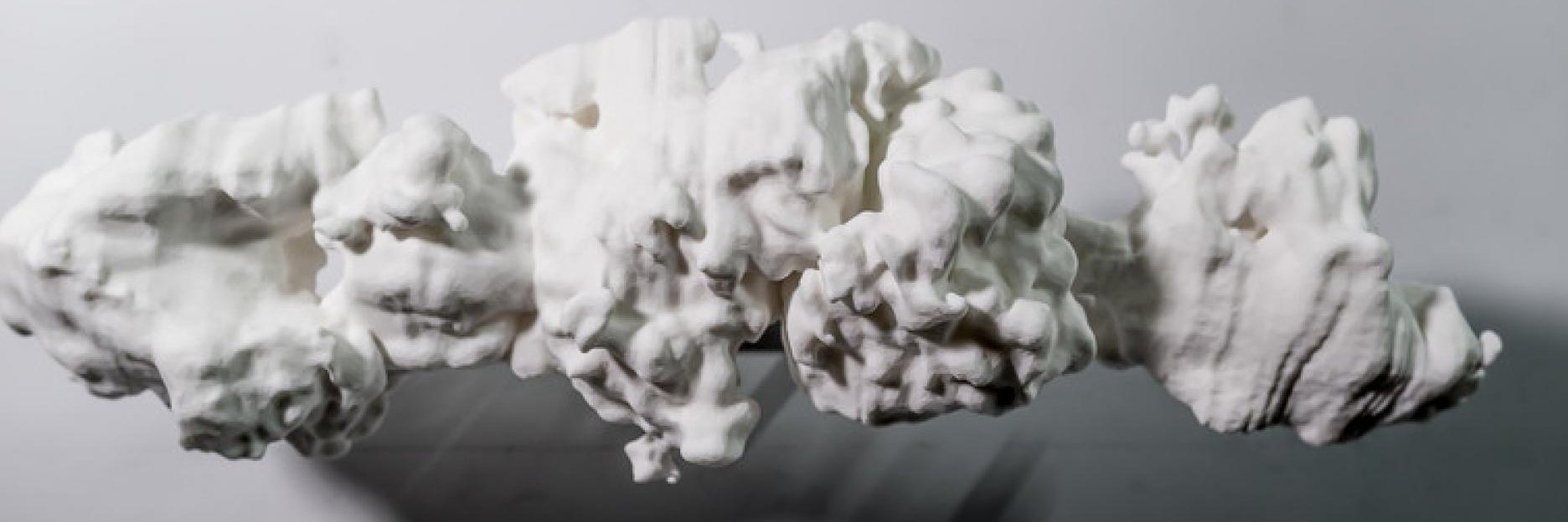 Katepalli R. Sreenivasan banner