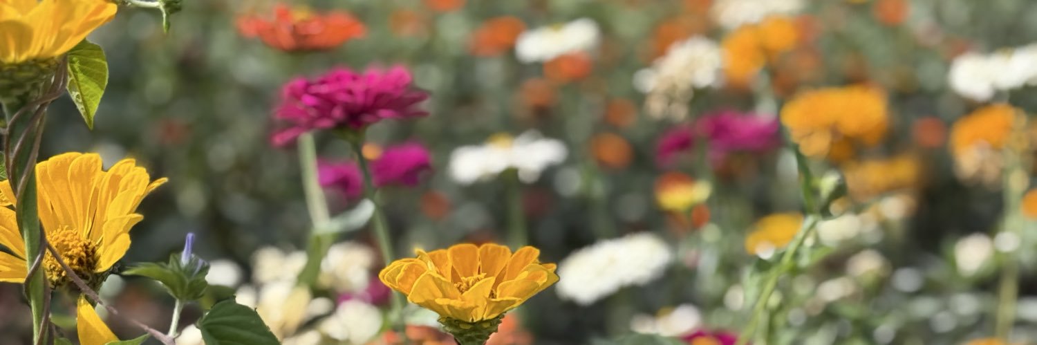 SumMar5384's profile banner image