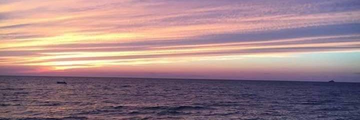 Erika_Dafne's profile banner image