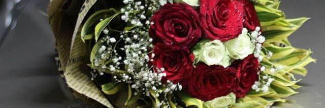 renad321's profile banner image