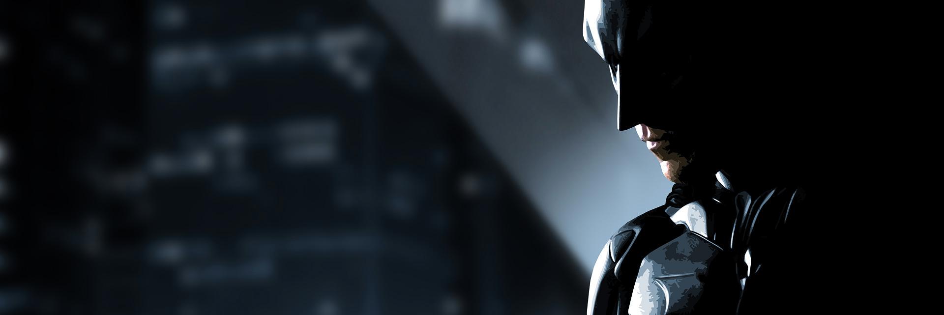 LDCavalieri's profile banner image