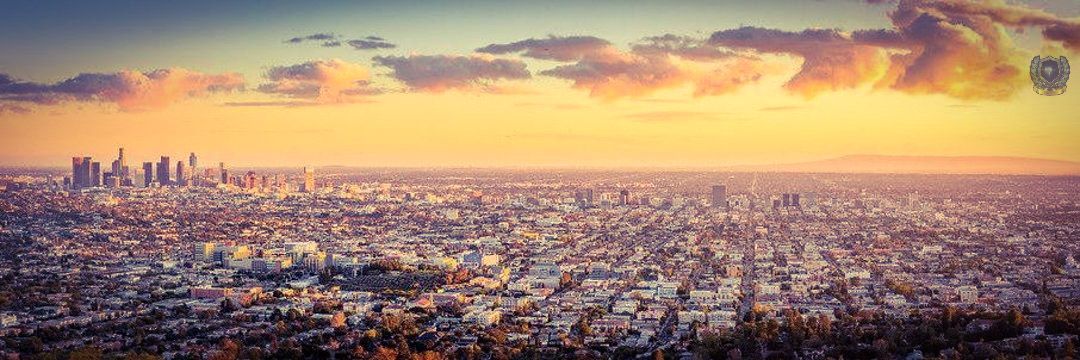 🌅Satoshi MorningStar Forbes⚜️ banner