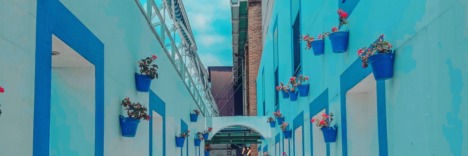 ssamdenss's profile banner image