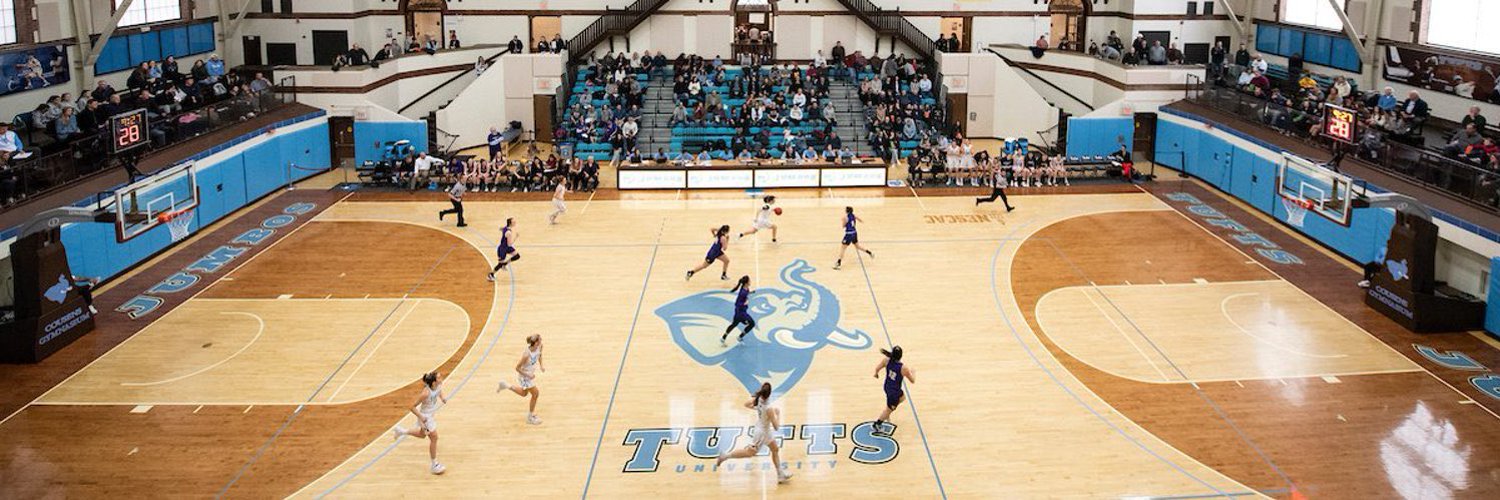 Meredith Mesaris banner