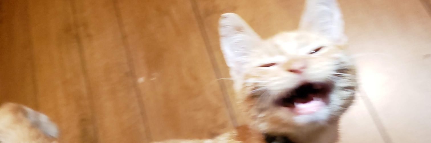 Silvewater's profile banner image