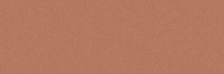 alisonpenaa's profile banner image
