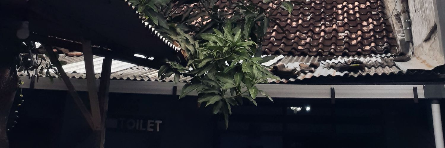 dseptianto4's profile banner image