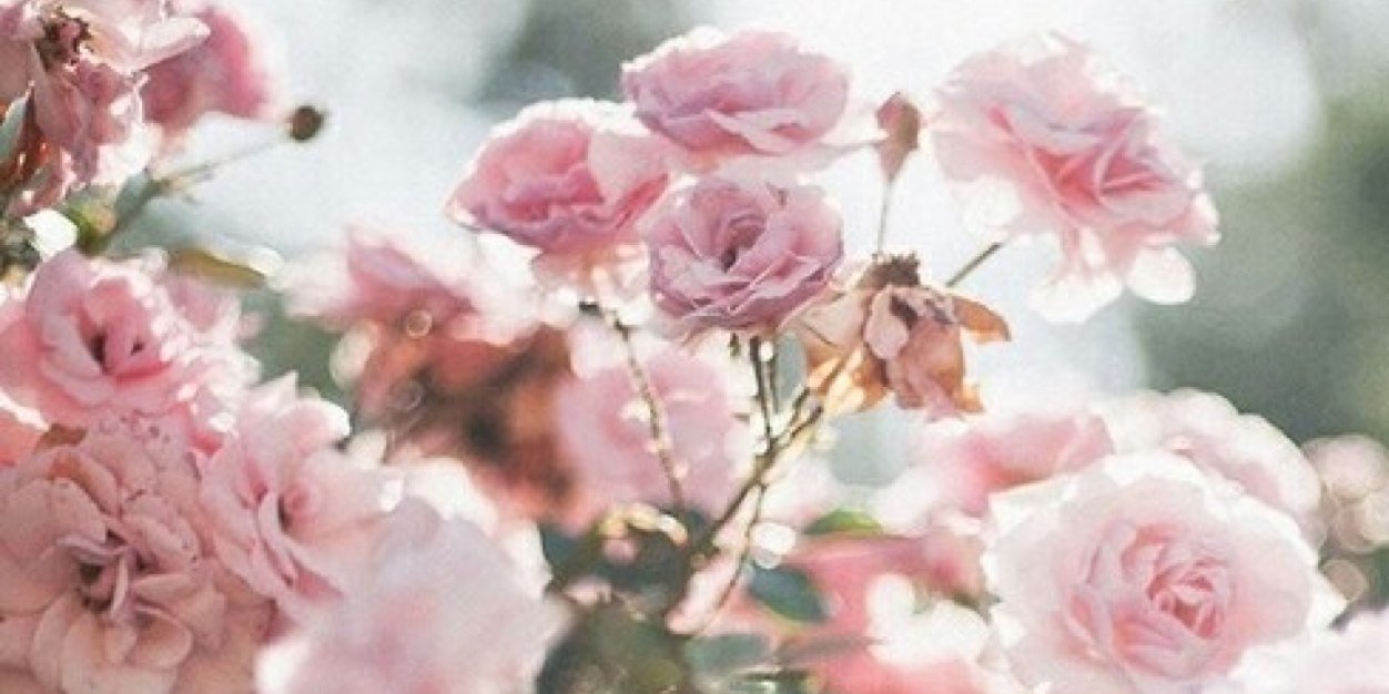 jniii__'s profile banner image