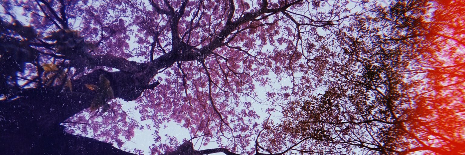 ArLiam_'s profile banner image