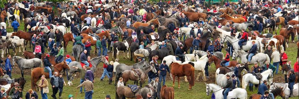 BallinasloeFair's profile banner image