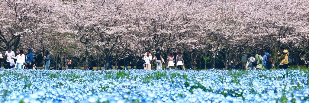 【お水いっぱい飲む】りゅーへー🍙 banner