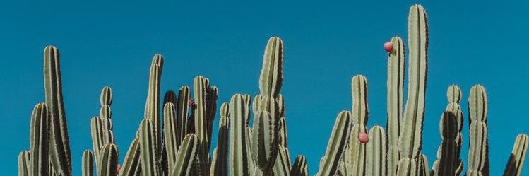 madiisonreed's profile banner image