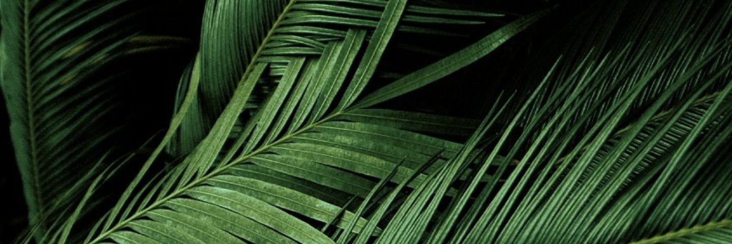 TitiNeverFails's profile banner image