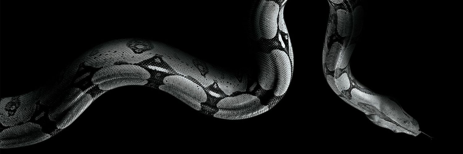 GiioVent's profile banner image