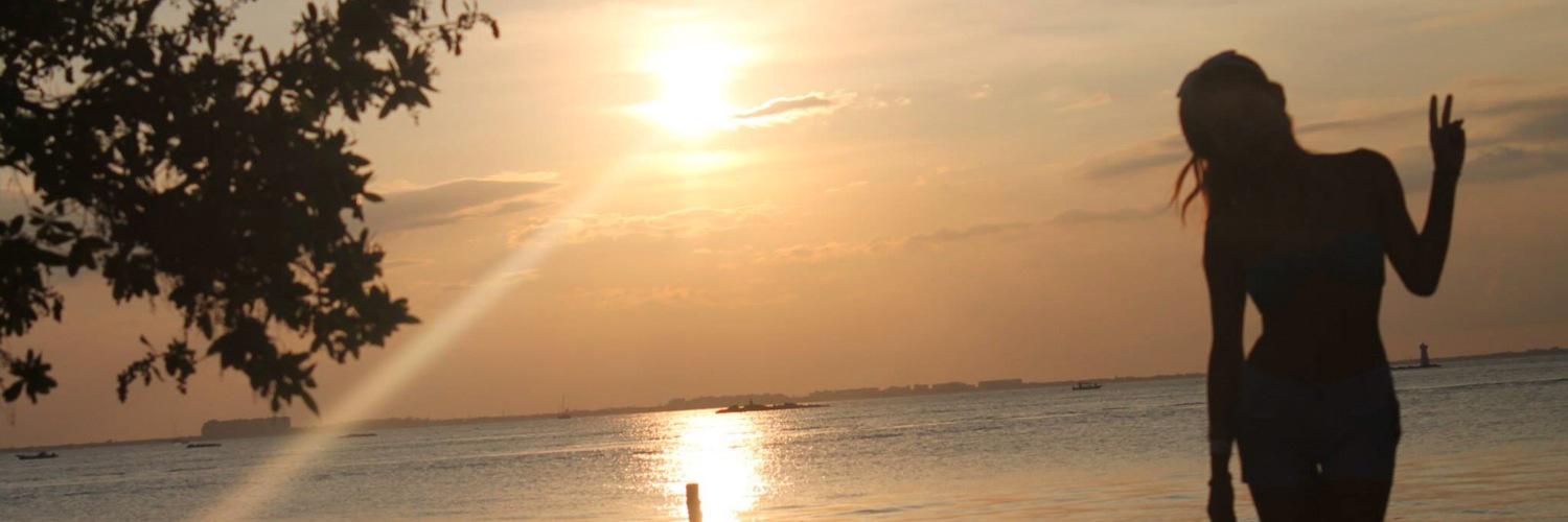 marletcastro's profile banner image