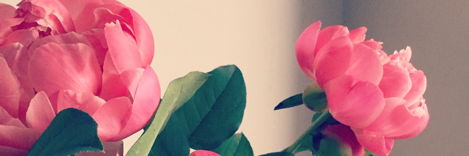prettybird84's profile banner image
