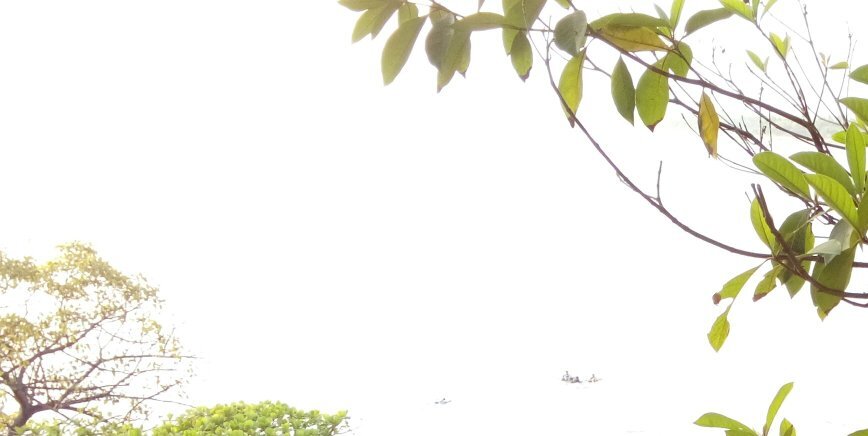 ssure01's profile banner image