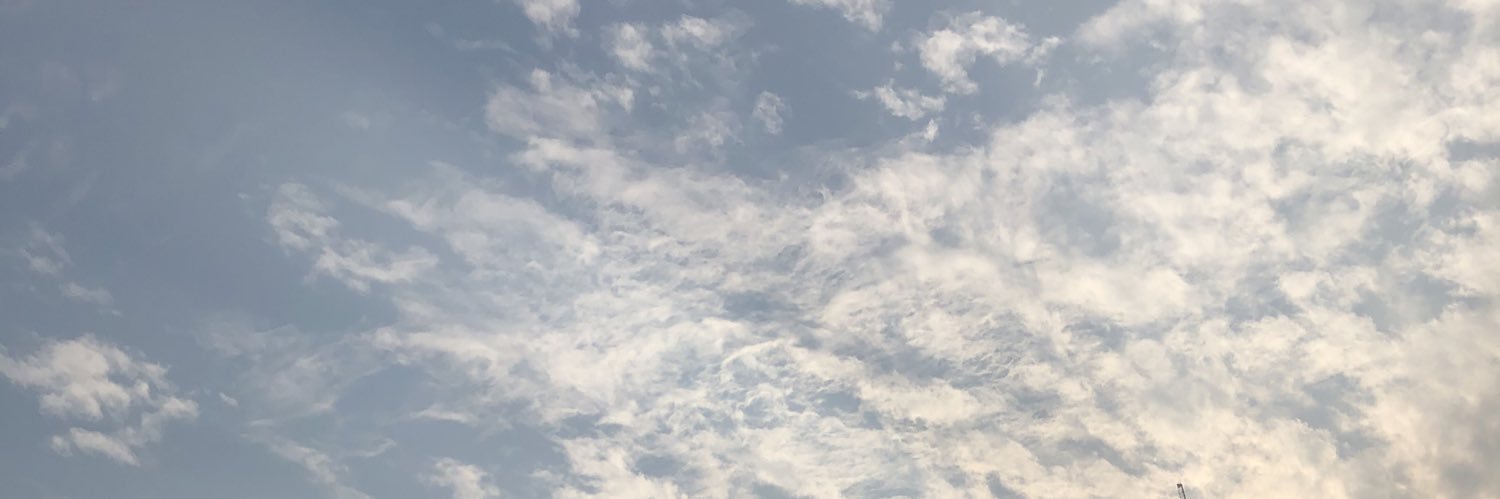 lavinalove0301's profile banner image