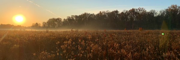 Coyatree Profile Banner