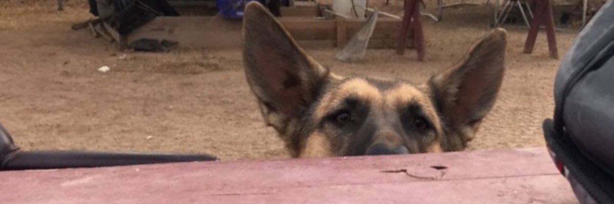 rjEVO's profile banner image