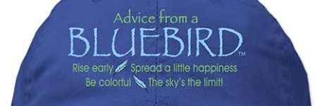PrettyBlueBirdy's profile banner image