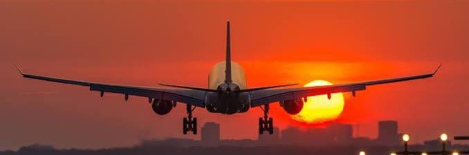 EL BICHO😎's banner