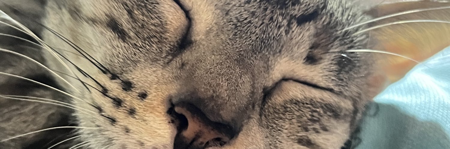 phinecrtz's profile banner image
