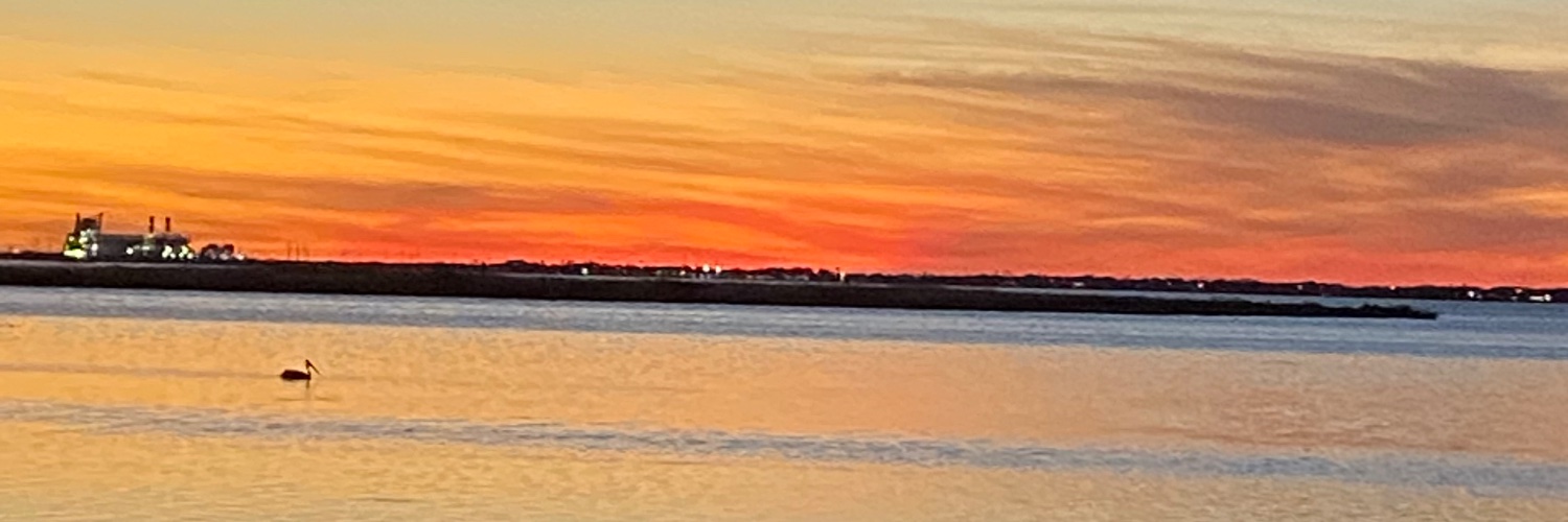 Devin DeFrancesco banner