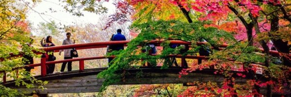 nekorobin1 Profile Banner