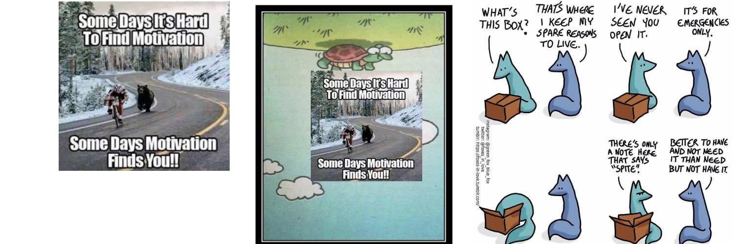 The Citizen 🕊️ banner