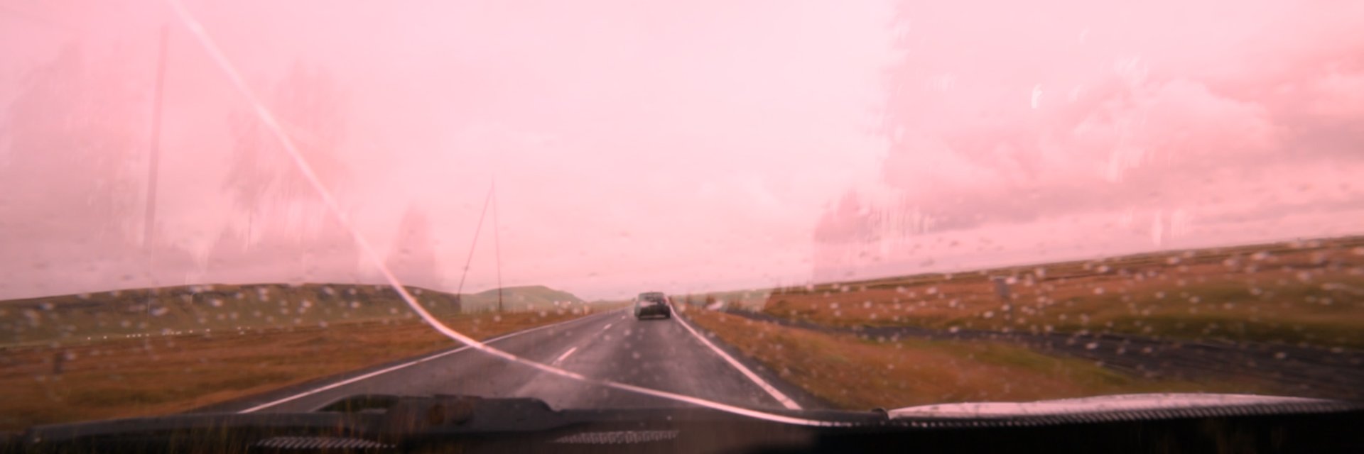 cattmarlson's profile banner image