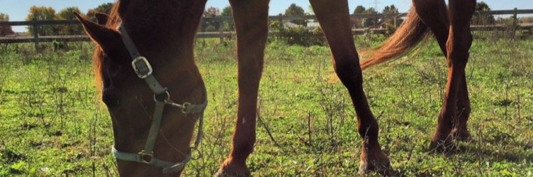 riskyrissy's profile banner image