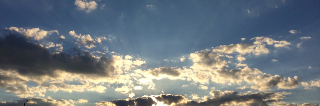 Jenni_23's profile banner image