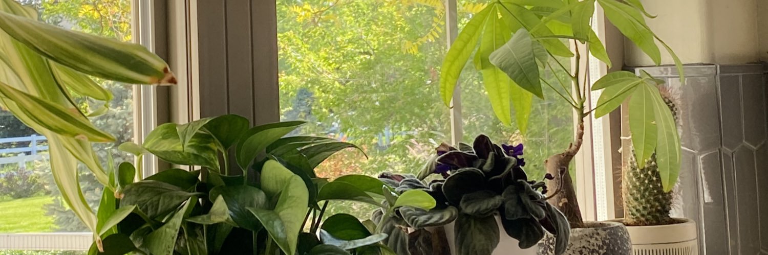 rileyyolson2's profile banner image